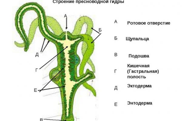 Кракен без впн