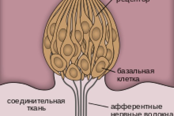 Кракен 22