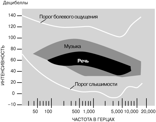 Рабочее зеркало на кракен